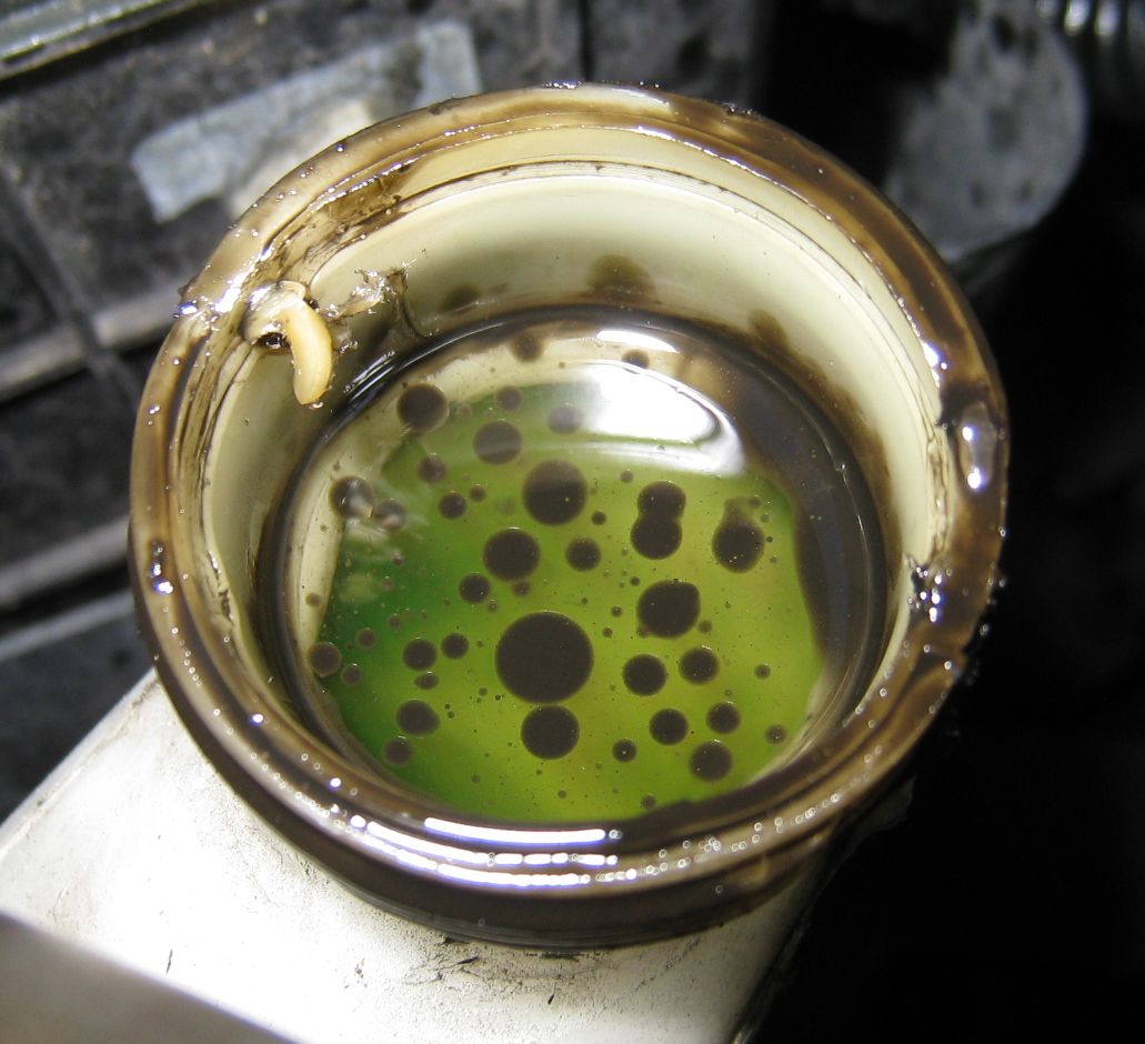 oil_in_coolant (2)